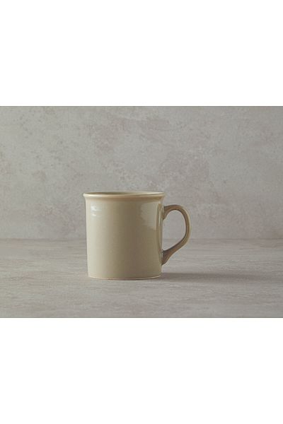 English Home Simple Ceramic Mug in Beige - 270 ml