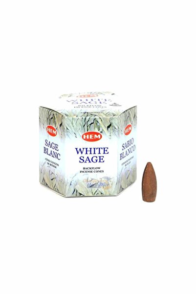 Hem Geri Akışlı Şelale Tütsü Konileri Hem White Sage Aromalı 40 Adet