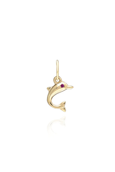 Dolphin Charm