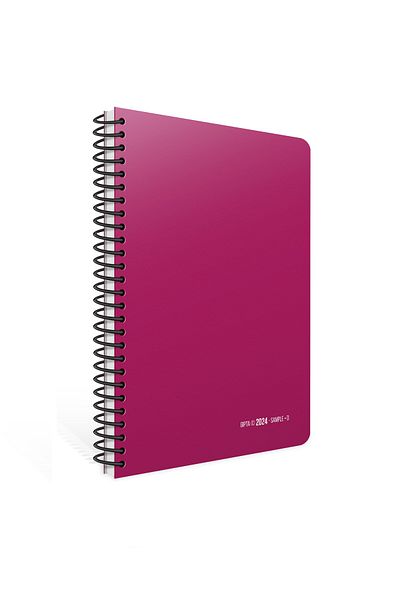 Gıpta 2024 409-XSK Sample 17x24 Daily Cream Agenda
