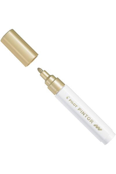 Pilot Pintor Marker Pen M Nib Gold