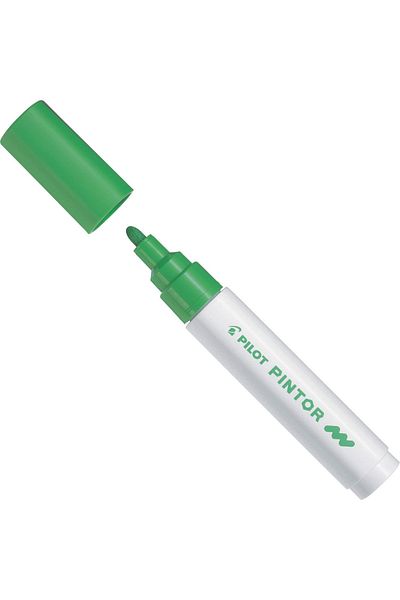 Pilot Pintor Marker Pen M Nib Lime Green