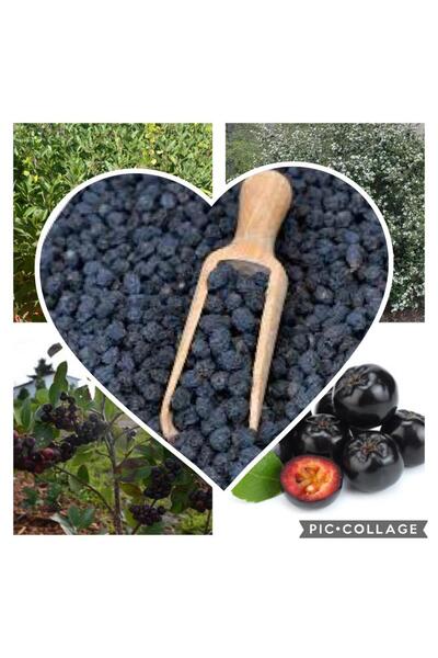 GojiberryTürkiye Aronya Kurutulmuş Yarım kg 500 gr