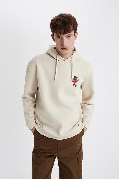 DeFacto Comfort Fit Hooded Sweatshirt