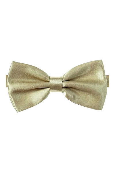 Trenderrs Papion de damă din satin de culoare uni