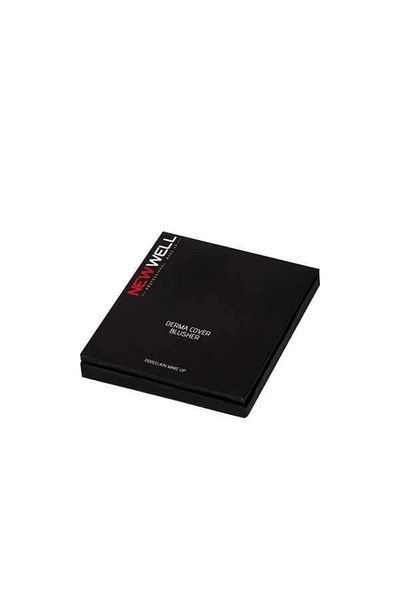 New Well Derma Cover Blusher 02