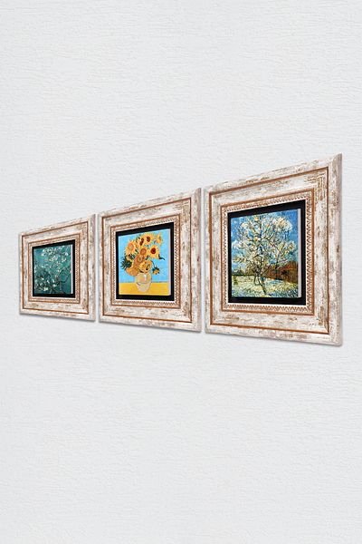 Pinecone Van Gogh Stone Wall Painting Framed Wall Decor 3 Piece Painting Set Wall Art Tk3-570