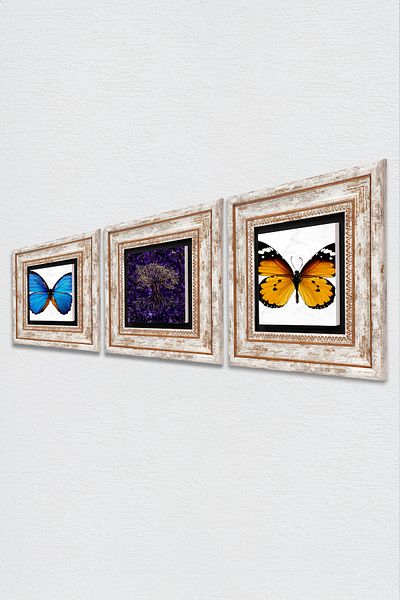 Pinecone Tree of Life, Butterfly Stone Wall Painting Framed Wall Decor 3 Piece Painting Set Wall Art