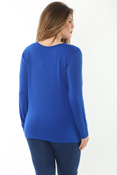 Şans Women's Large Size Saks V-Neck Stone Detailed Long Sleeve Blouse 65N37153