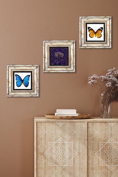 Pinecone Tree of Life, Butterfly Stone Wall Painting Framed Wall Decor 3 Piece Painting Set Wall Art