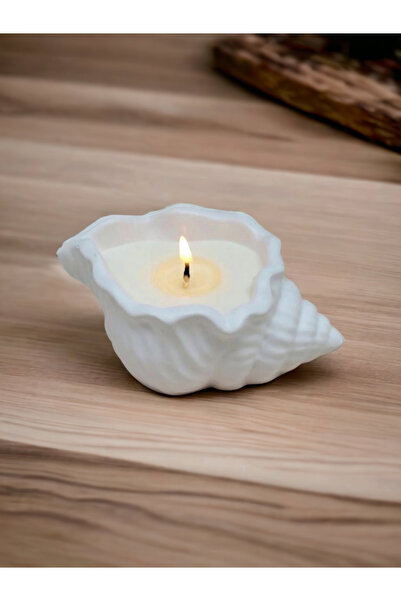 Gorgon Art Dekoratif Istiridye Kasede Mum Deniz Kabuğu Obje