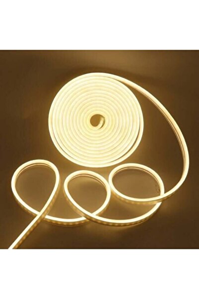 Cata Ct-4555 Neon Led 12 V Günışığı 5mt