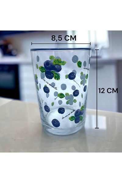 Dore Voir Glass Water Glass / Blueberry Patterned Glass - 450 ML