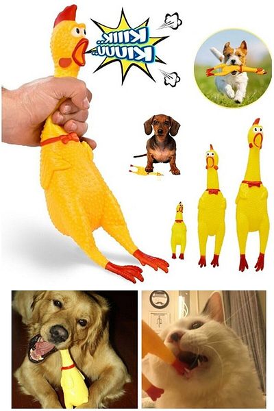 Pet clearance dog toy