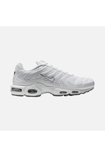 Nike Aır Max Plus Erkek Ayakkabı 604133-139
