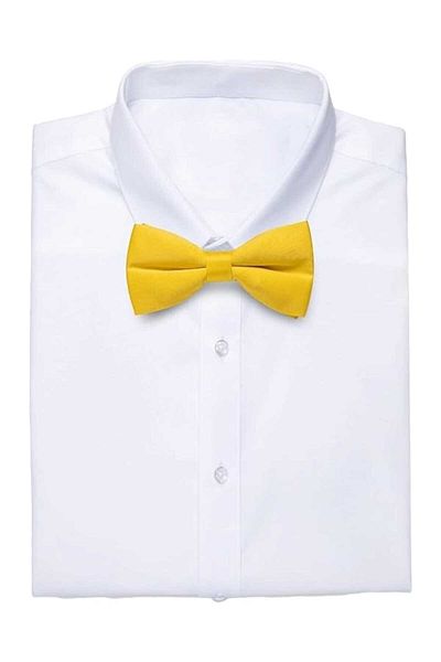 Trenderrs Men's Solid Color Satin Bow Tie