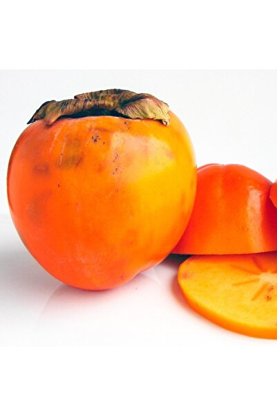 Floramut Tüplü Sharon Cennet Meyvesi Trabzon Hurması Fidanı