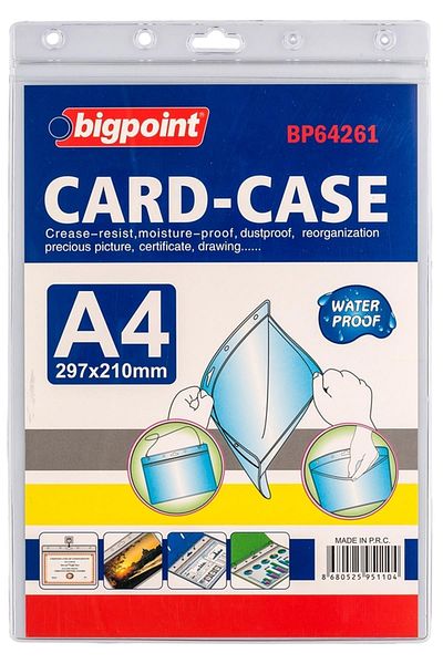 Bigpoint Ziplock Card Bag - Vertical A4 (210X297Mm) 1 Piece