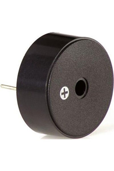 Circuit Buzzer 12v 12mm