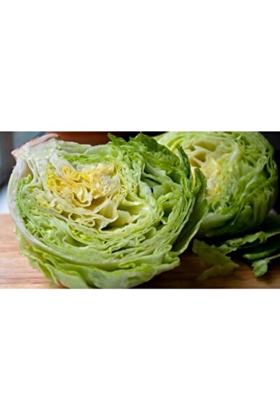 Ekodoğa Marul Tohumu Iceberg 1 Paket (1500 Adet Tohum)