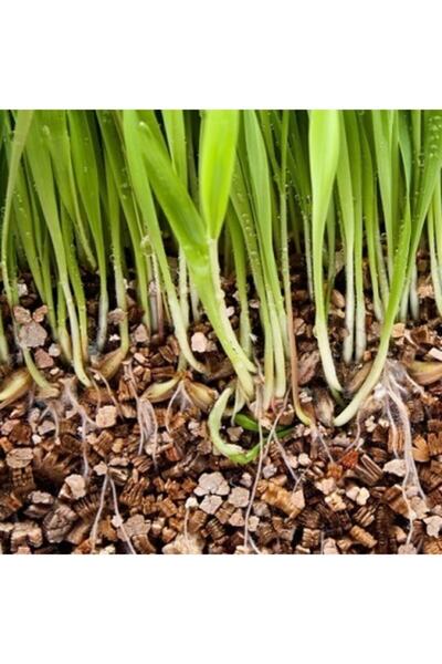 Doğalsan Tarım Vermikülit 20 Lt Organik Toprak Düzenleyici Tohum Çimlendirme ...