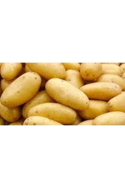 EKİM Patates Sarı Sivas 1kg Taırm