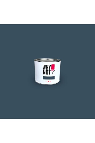 WHY NOT Duvar Boyası Endless 1,5LT
