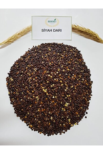 Bereketlimama Siyah Darı- Kuş Yemi-5 Kilogram