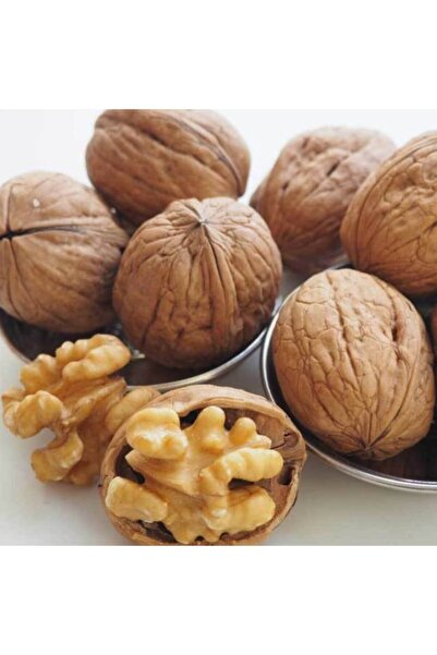 Şanlı Kabuklu Ceviz (1 Kg.)