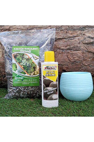 Ekodoğa Kaktüs Besini 225 ml+  Kaktüs Toprağı 3 lt + Pudra Mavi Kaktüs Saksıs...