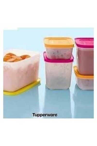Tupperware Alaska Giant Set 5 Pieces Figures Storage Freeze Stone Tight Cover