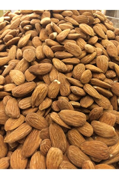 ÖZBEK KAYISICILIK Badem Yerli