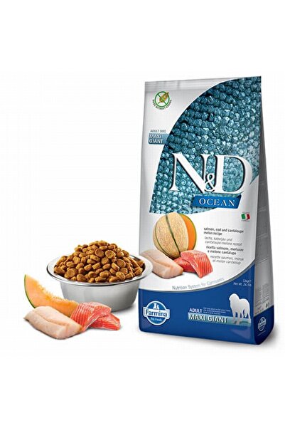 N&D N&d Ocean Somon Ve Morina Balıklı Kavunlu Giant Maxi Yetişkin Köpek Mamas...