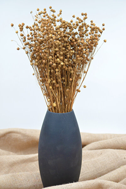 Dekora Çiçek عشبة الكتان الطبيعية - مجففة (عشبة لونا)