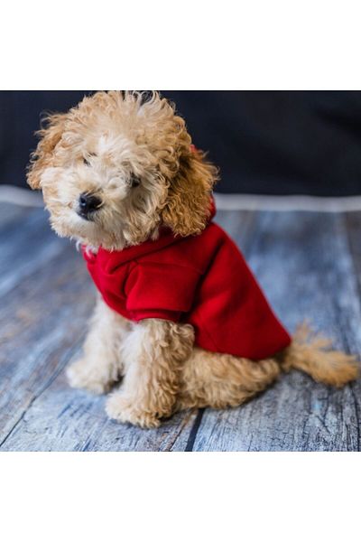 HKEVCİLPET Cat Dog Jacket Coat Windproof