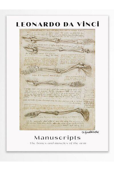 Postifull Αφίσα τοίχου Leonardo Da Vinci - Σειρά Art - Χοντρό χαρτί - Χωρίς πλαίσιο