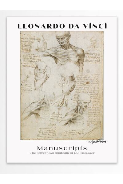 Leonardo Da Vinci Wall Poster - Wall Decor - Art Series Posters - Thick Paper - Frameless