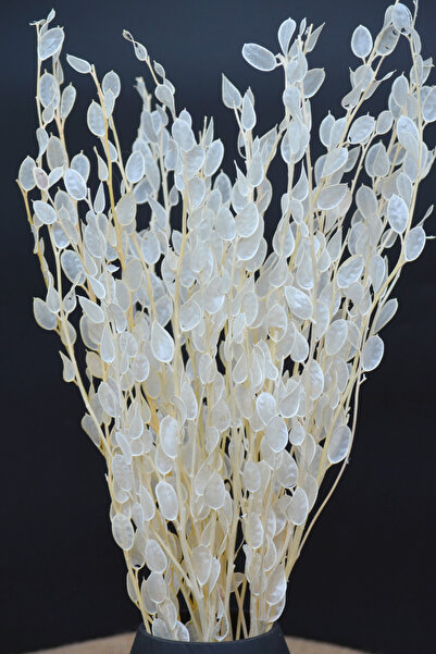 Dekora Çiçek Şoklanmış Sedef Çiçeği - 10 Dal