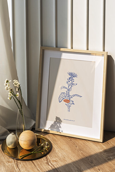 Postifull Βοτανική αφίσα - Αισθητική αφίσα διακόσμησης σπιτιού - Αφίσα Flower...