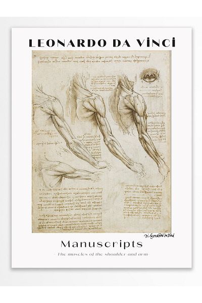 Postifull Αφίσα τοίχου Leonardo Da Vinci - Σειρά Art - Χοντρό χαρτί - Χωρίς πλαίσιο