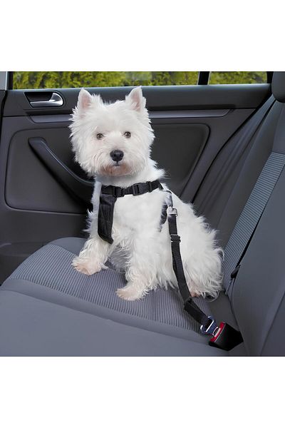 hebmeyy Car Dog Collar Pet Safety Belt Dog Collar Dog Walking Strap