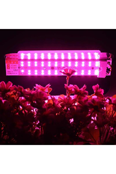 DM Tam Spektrum Fito Bitki Büyütme Led Işık 50w Ac 220v 180° Ip 65 Su Geçirmez