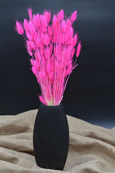 Dekora Çiçek Kurutulmuş Pamuk Otu Tavşan Kuyruğu Fuşya - 40 Dal