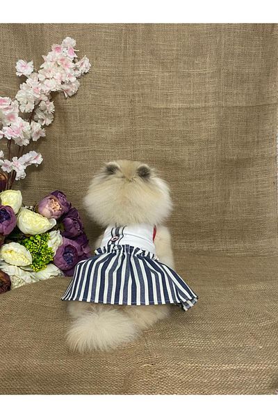 MARİA PET FASHİON Dog & Cat Clothes