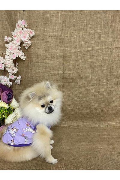 MARİA PET FASHİON Dog & Cat Clothes&Athlets&T-Shirts