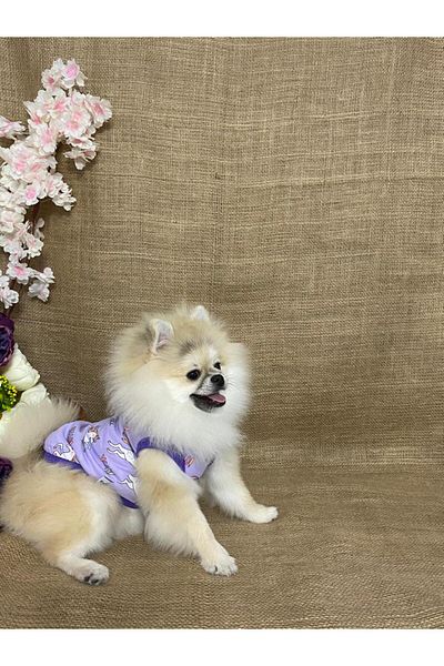 MARİA PET FASHİON Dog & Cat Clothes&Athlets&T-Shirts