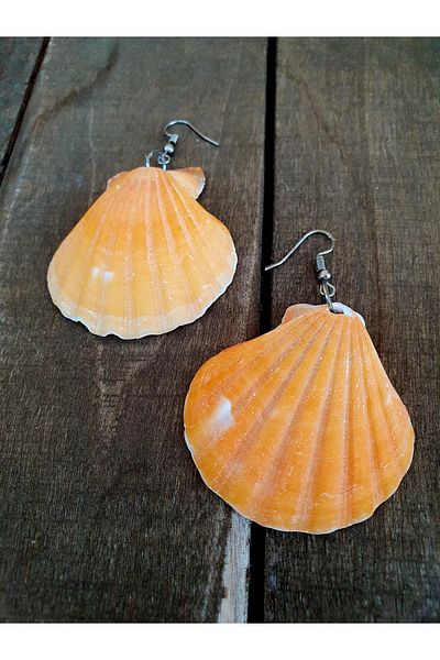 özde dekor Real Oyster / Sea Shell Earrings