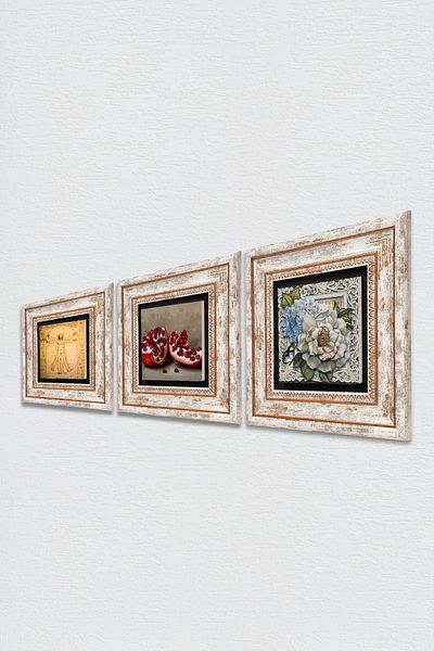 Pinecone Leonardo Da Vinci Vitruvian Man, Flower with Butterfly, Pomegranate Stone Wall Painting Framed Wall Decor
