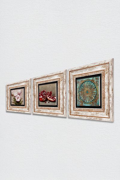Pinecone Flower of Life, Butterfly Flower, Pomegranate Stone Wall Painting Framed Wall Decor Set of 3 Painting Tk3-1247