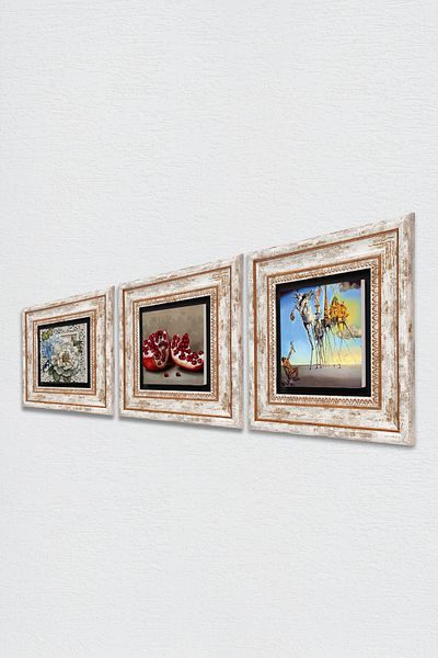 Pinecone Salvador Dali , Flower with Butterfly , Pomegranate Stone Wall Painting Framed Wall Decor Set of 3 Painting Tk3-1201
